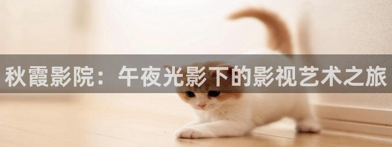 星空视频素材高清