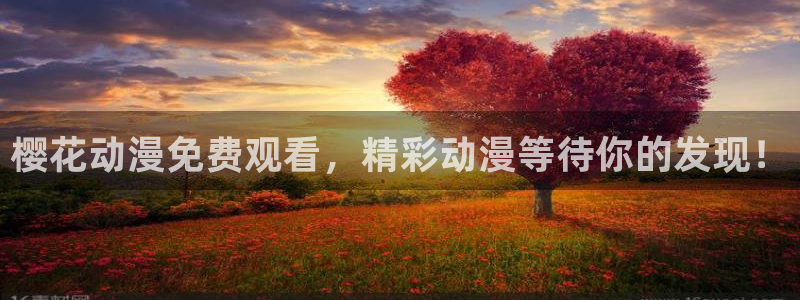 星空影视官网app