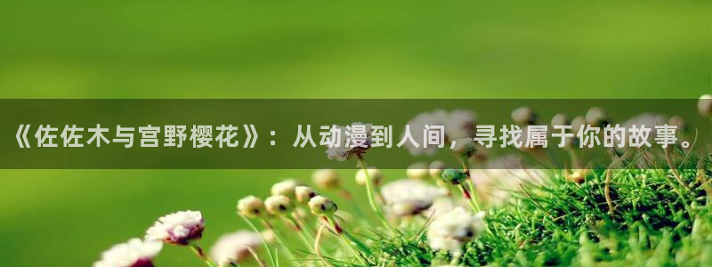 西瓜视频在线观看免费播放电视剧电影