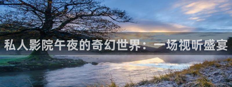 在线观看星空无限传媒