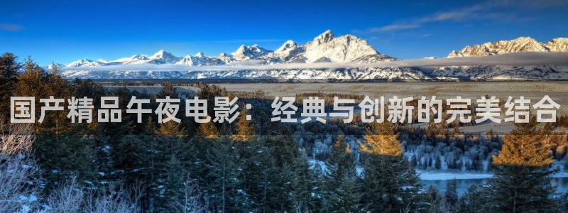 西瓜视频系统