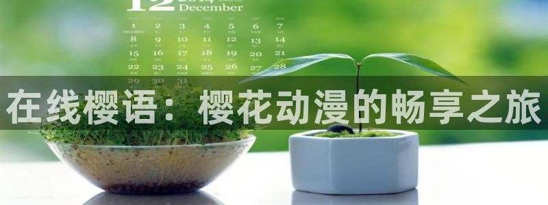 影音室星空顶