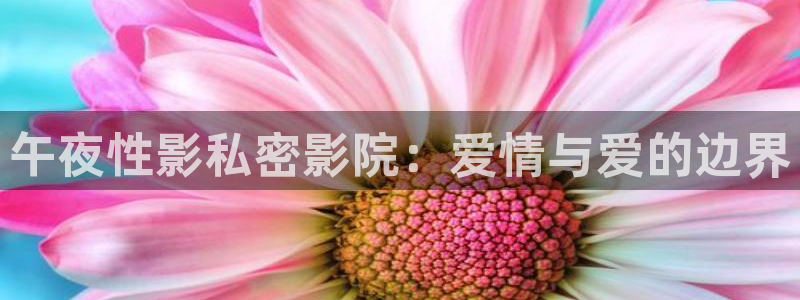 星空影视在线