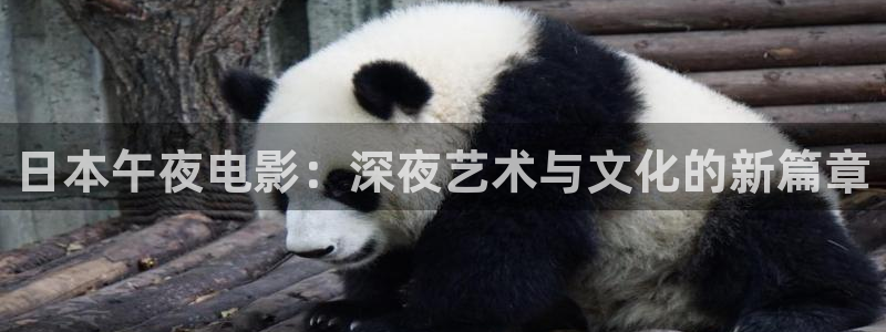 星空无限传媒电影