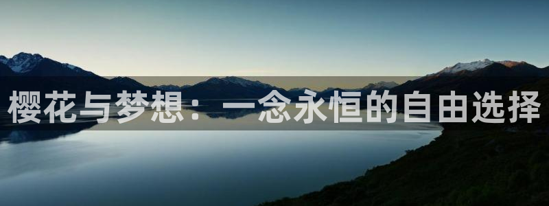 星空在线高清免费完整观看