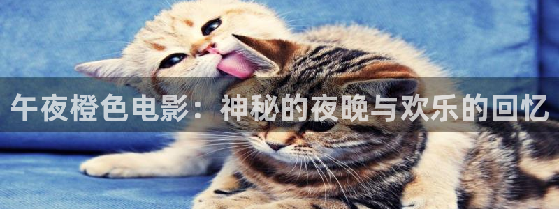 夏至未至电视剧免费观看完整版西瓜视频