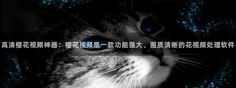 西瓜视频免费观看在线观看