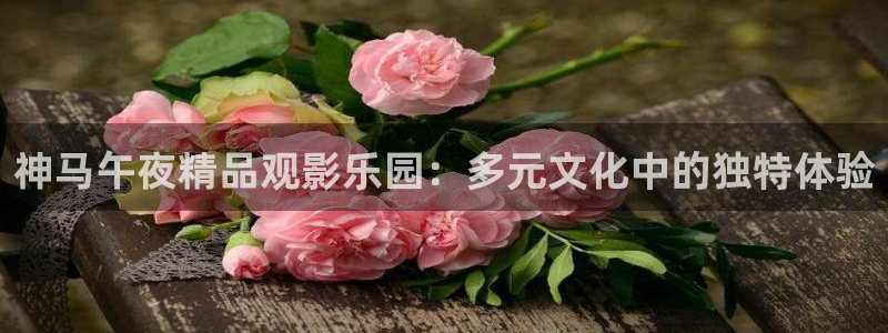 与敌共眠电视剧免费西瓜视频