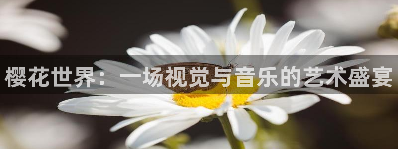 星空影视网下载app
