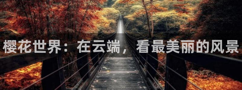 星空主题下载