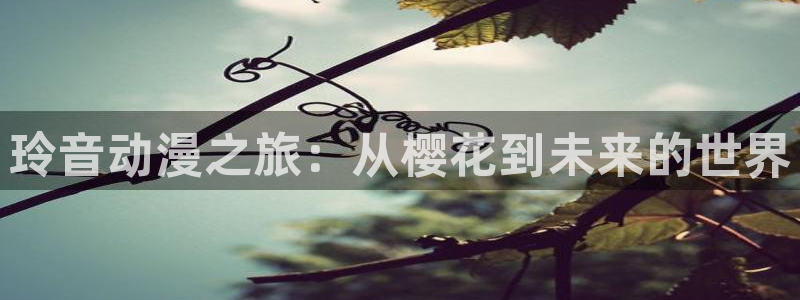 西瓜视频免费观看电视剧软件