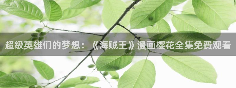 星空影视vip破解版