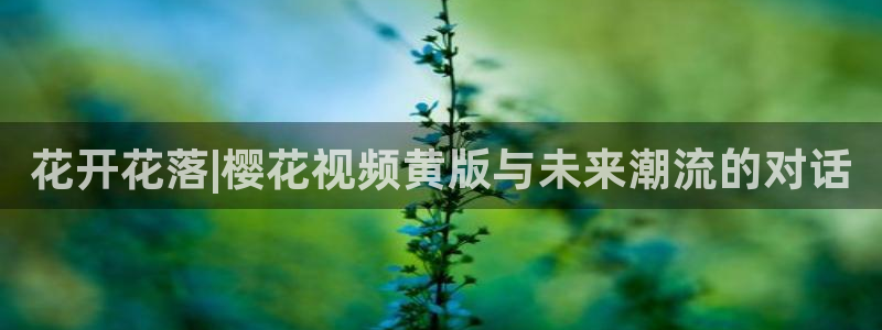 西瓜视频电影电视剧免费观看