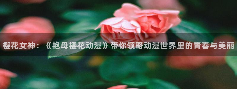 星空电影xkdy
