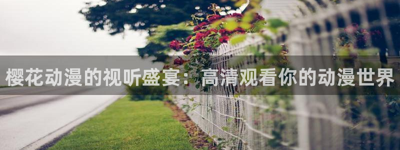 二十不惑星空影视