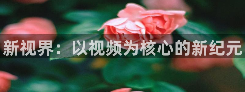 星空策驰影院在线观看