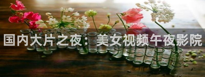 星辰影院策驰影院西瓜视频