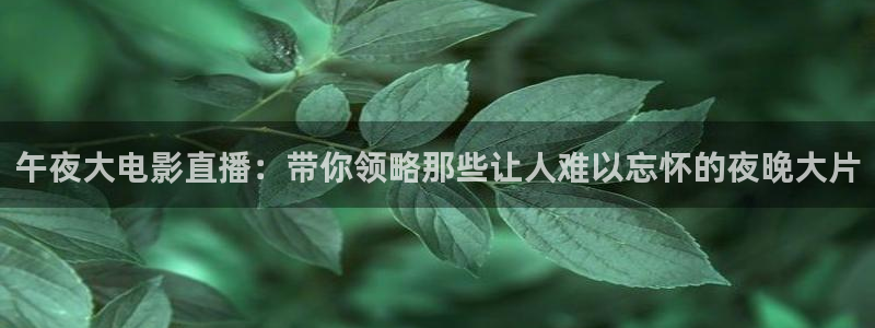 星空影视电视版