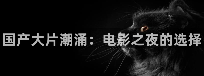 致命游戏西瓜视频免费观看