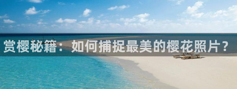 西瓜视频电视剧在线观看大全