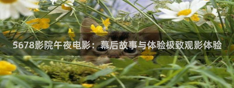 电影星空