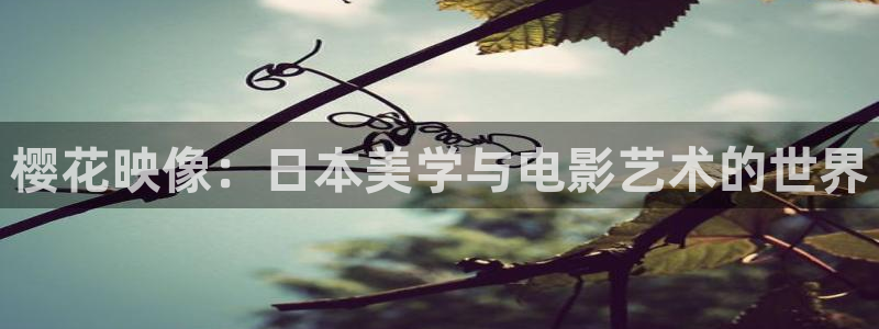 西瓜视频免费看电影方法