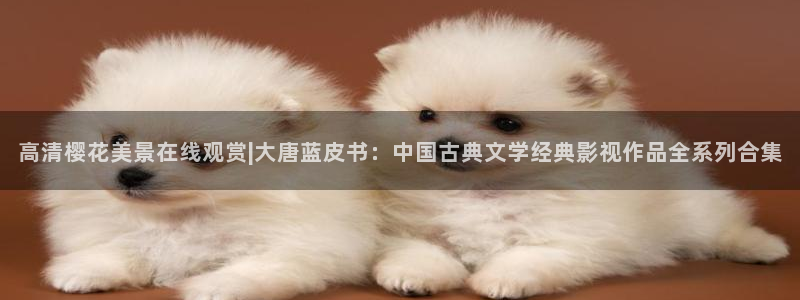 西瓜视频大全在线